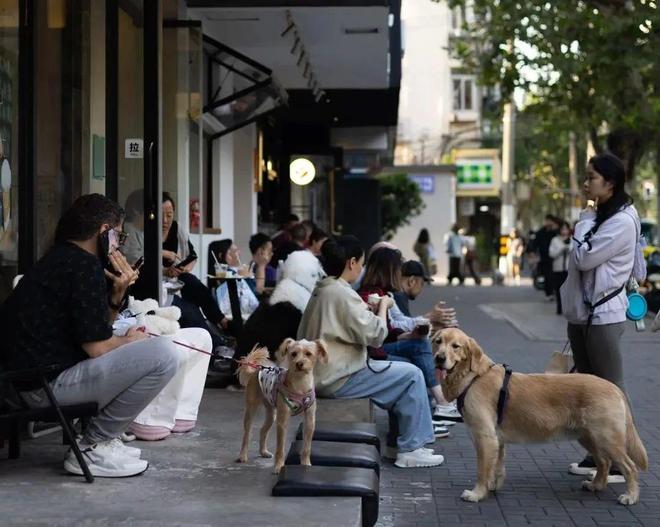 人抛弃了双11爱上了“老年严选”AG旗舰厅网站首页这届脆皮年轻(图12)